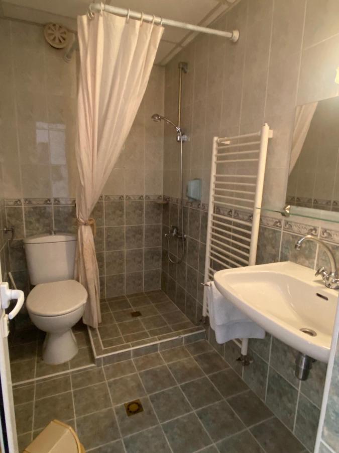 Family Hotel Zdravets Sofia Extérieur photo